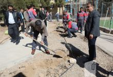 گزارش تصویری مراسم روز درختکاری